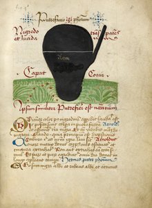 Ms Sloane 2560、f.8、錬金術の論文から、15 世紀後半 (ベラム)