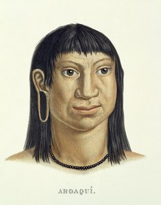 ブラジルのアトラスオブジャーニーヨハンバプティストフォンスピックス（1781-1826）とカールフリードリヒフィリップマルティウス（1794-1868）によるアロアキ族の先住民で、1835-50年頃に出版された 作： German School