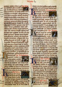 アルベルトゥス・マグヌス（1200-1280年頃）の『De Natura Rerum』の鳥に関するページ。 作： German School