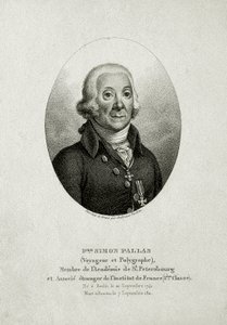 ピーター・シモン・パラス（1741～1811）（線刻画 作： German School