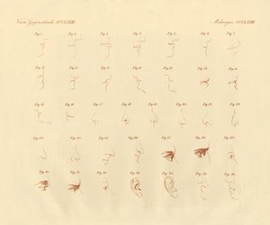 感覚器官とその連結部のフィシオノミクス表現（彩色彫刻 作： German School