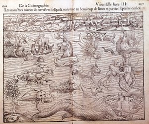 北部地域に生息するあらゆる種類の海洋および陸生のモンスターを表すプレート。Sebastien Munster氏のUniversal Cosmographyから引用したXilography。ベール 作： German School