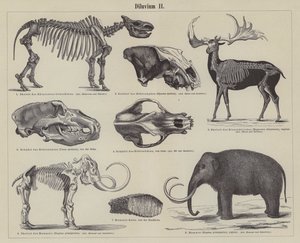 先史時代の動物（彫刻 作： German School