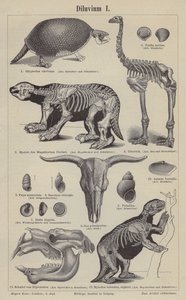 先史時代の動物（彫刻 作： German School