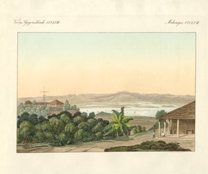 Pulu Penang (カラーの彫刻) 作： German School