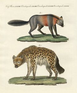 珍しい四足の動物（カラーの彫刻 作： German School