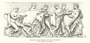 古代ギリシャのパナテナイアの行列に登場する犠牲動物（エングレービング 作： German School