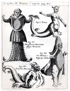 海の怪物、ガスパーショットSJ（1608-66）によるPhysica Curiosaのイラスト、ヴュルツブルク1662を公開 作： German School