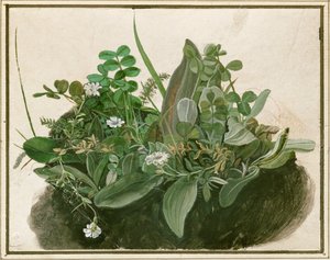  作： German School