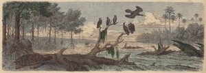 南米：ガイアナの河口（彩色済み彫刻 作： German School