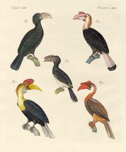 奇妙な鳥たち（彩色された彫刻 作： German School