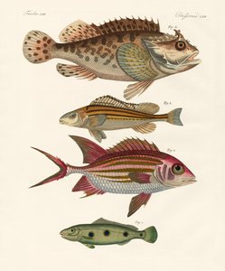 奇妙な魚（彩色された彫刻