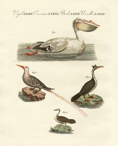 奇妙に泳ぐ鳥たち（彩色済み彫刻 作： German School