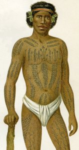 キャロライン諸島からの刺青の男、1894 作： German School