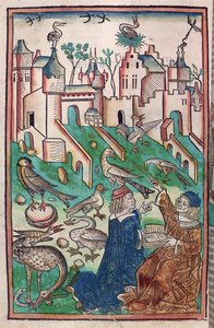 The Birds and Creatures of the Air（鳥と空の生き物）、「Hortus Sanitatis」（「健康の園」）1491年の挿絵（カラー木版画 作： German School