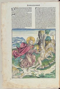 イブの誕生、ハルトマンシェデル作「Liber Chronicarum」（1440年〜1514年）、1493年（色の木版画） 作： German School