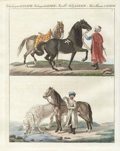 さまざまな種類の馬（彩色済み彫刻 作： German School