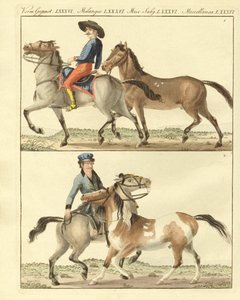 様々な種類の馬（彩色済み彫刻 作： German School