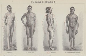 人間の姿（彫刻 作： German School
