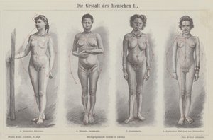 人間の姿（彫刻 作： German School