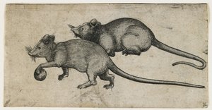 2匹のマウス、1450-80（インク洗浄による彫刻）