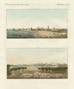 アフリカの風景（彩色済み彫刻
