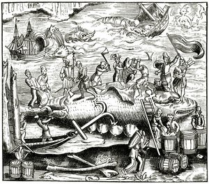 マンステル宇宙飛行士の木版画の後のクジラ釣り、1552年公開 作： German School