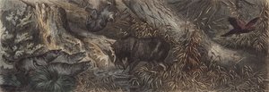 ロシア北部の野生動物（彩色済み彫刻 作： German School
