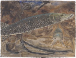 側面と正面から見た水族館の 2 つのカワカマス 作： Gerrit Willem Dijsselhof