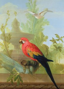装飾用庭園のコンゴウインコと鳩、1772年 作： Gerrit van den Heuvel