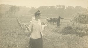 ["ガートルード・オマリーと熊手］ 作： Gertrude Käsebier