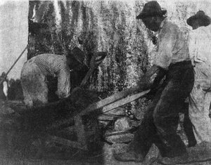 3人の労働者仕事をしている3人のアフリカ系アメリカ人労働者を写した写真。(1900年頃） by Gertrude Kasebier