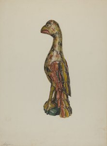 Pa.ジャーマンオウム、c。 1939年。 作： Giacinto Capelli