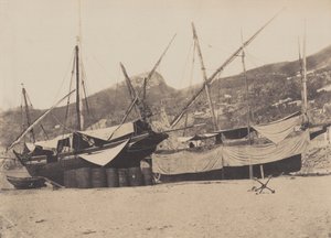 1855年、サレルネ（写真）