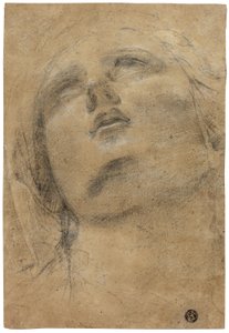 上を見上げる聖母の頭 作： Giacomo Cavedone