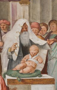 中央身廊、北側第5スパン、神殿への奉納、ジャン・フランチェスコ・ベンボ 作： Gian Francesco Bembo