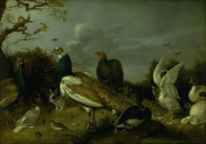 クジャク、アヒル、その他の動物 作： Gijsbert Gillisz. de Hondecoeter
