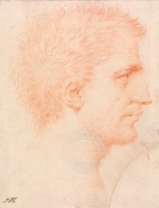 無精ひげを生やした男の頭、右向き 作： Giles Hussey
