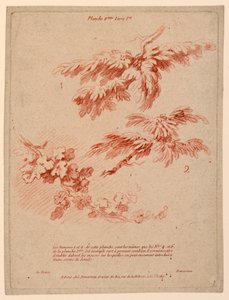 ブック I のプレート 2、ランドスケープ ジャンルでの描画の原則 作： Gilles Demarteau