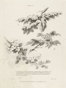 葉のある 3 つの枝の研究 1er Cahier de Paysage (シリーズタイトル) 作： Gilles Demarteau