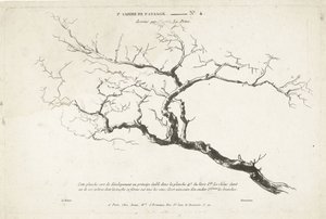 裸木の枝の研究 1er Cahier de Paysage (シリーズタイトル)