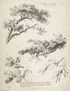 葉のある枝の研究 1er Cahier de Paysage (シリーズタイトル) 作： Gilles Demarteau