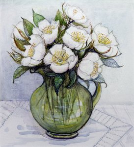 クリスマスローズ、1984 作： Gillian Lawson