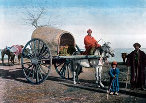 ブハラワゴン、ウズベキスタン、c1890