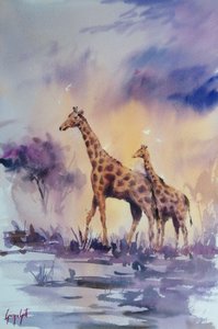 アフリカの夕暮れに映えるキリンたち 作： 