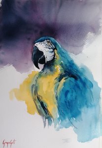 青と黄色のコンゴウインコ 作： 