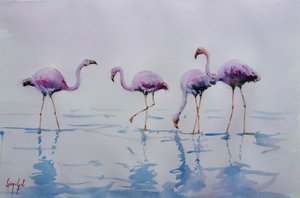 水辺を歩くピンクのフラミンゴ 作： 