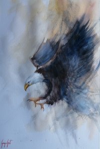 力強い鷲の飛行 作： 