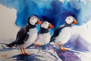 3羽のツノメドリの水彩画 作： 