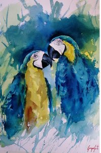 生き生きとしたコンゴウインコの仲間たち 作： 